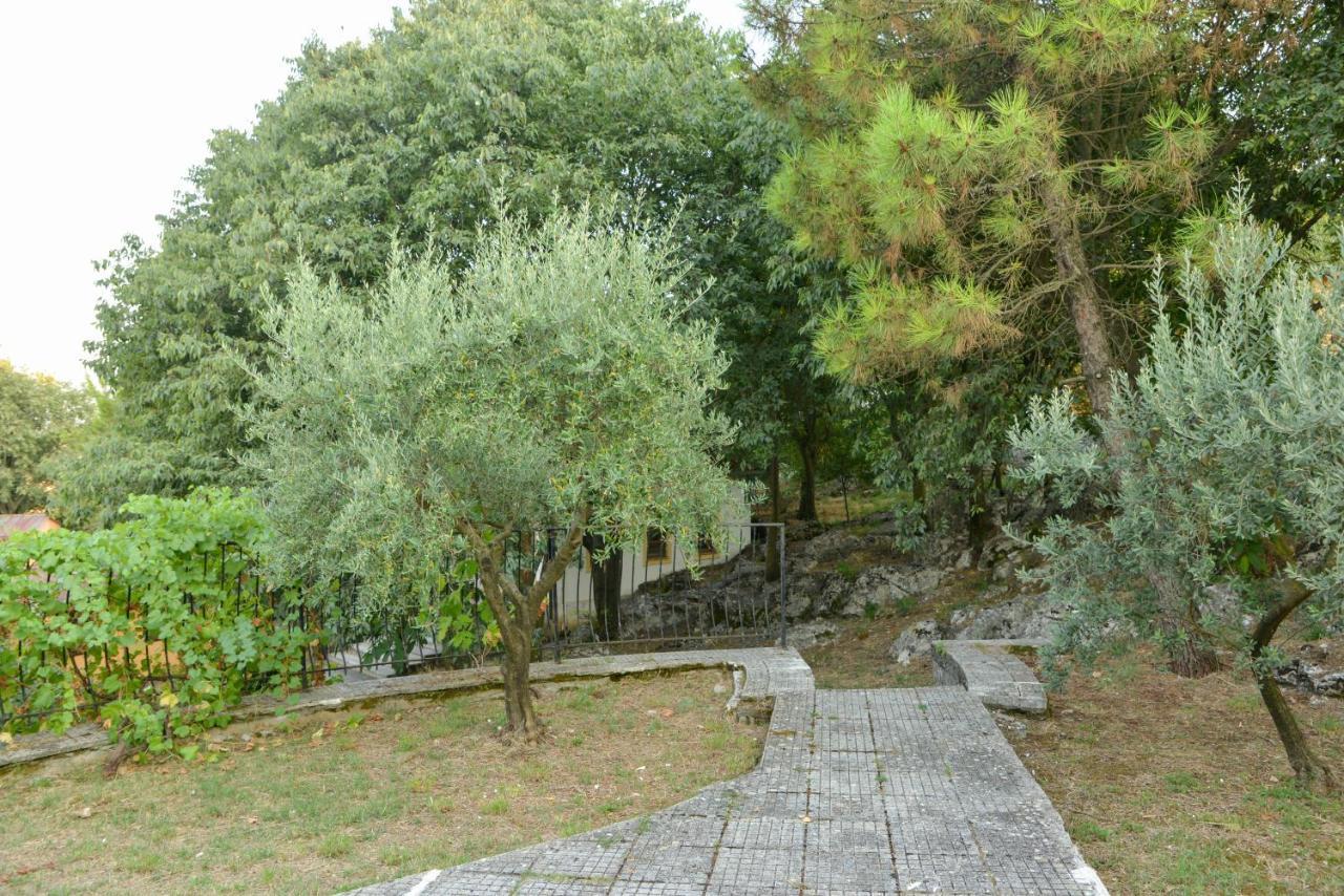 Village Of Peace - House 38 Shkodër 外观 照片